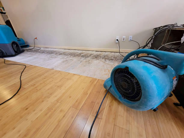 Reliable Basement Flood Cleanup contractor in Concord, MA by Hirex Water Damage