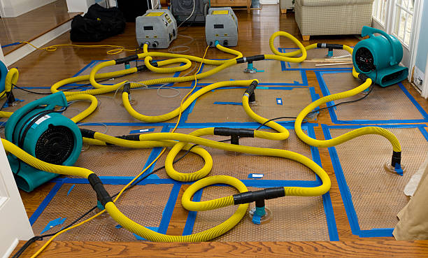 Professional Basement Flood Cleanup technician working in Concord, MA
